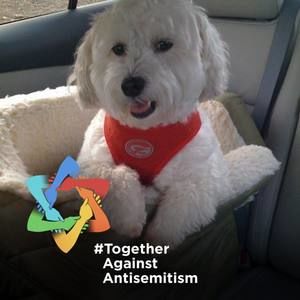 Meet your Posher, Marilyn